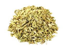 Fennal Seed Whole Sultan 100 g