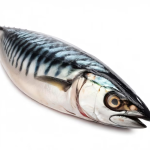 Whole Mackerel (Fresh) (1kg)